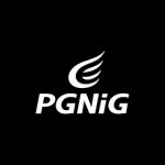 PGNiG logo bw