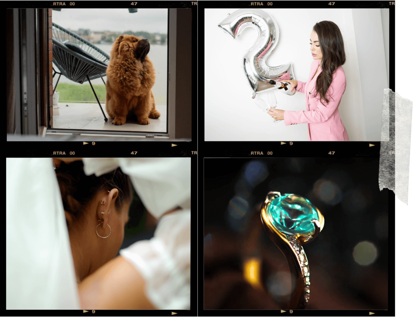 Przykładowe fotografie, pies, kobieta, ślub, biżuteria. Portfolio fotografii